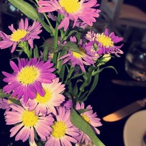 Meet your Posher, Liv